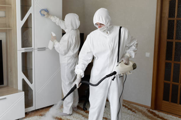 Best Mold Removal for HVAC Installations  in Riley, KS